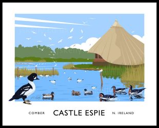 Art print of the bird santuary at Castle Espie, Comber, County Down.