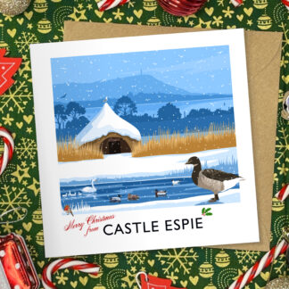 Castle Espie Christmas card