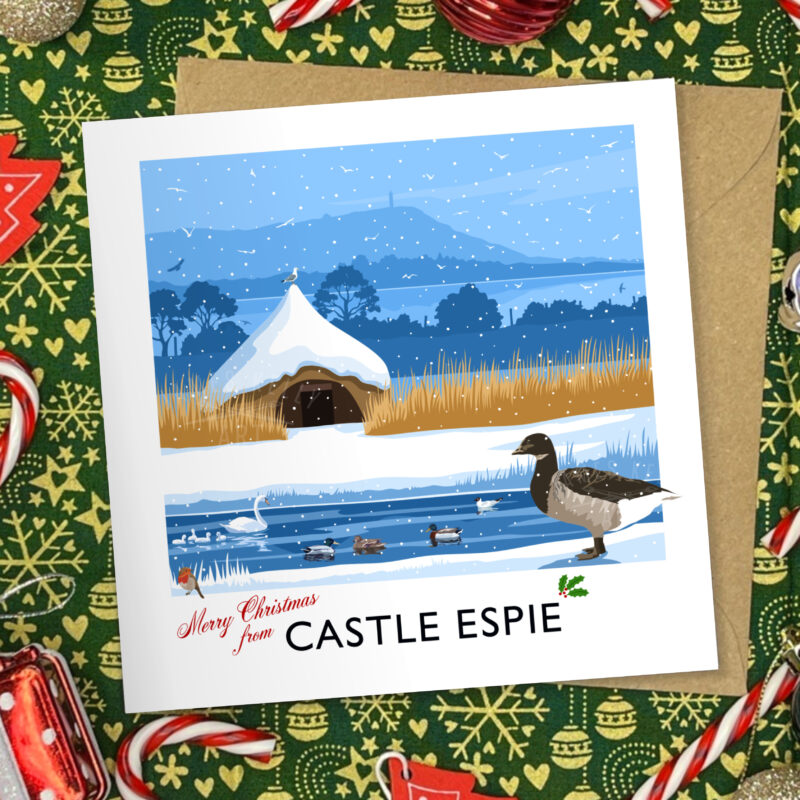 Castle Espie Christmas card
